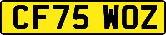 CF75WOZ