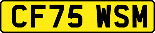 CF75WSM