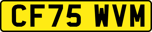 CF75WVM