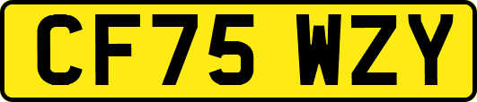 CF75WZY