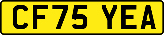 CF75YEA