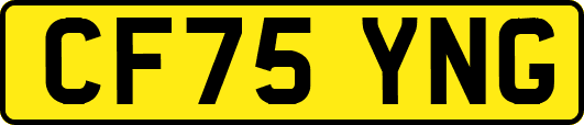 CF75YNG