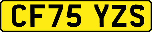 CF75YZS