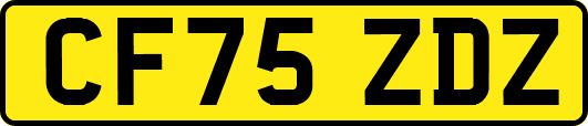 CF75ZDZ