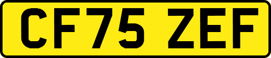 CF75ZEF