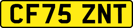 CF75ZNT
