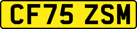 CF75ZSM