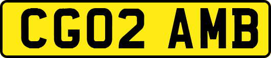 CG02AMB