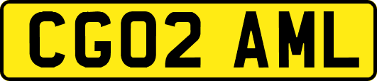 CG02AML