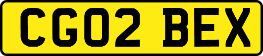 CG02BEX