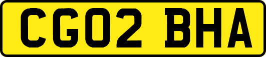CG02BHA