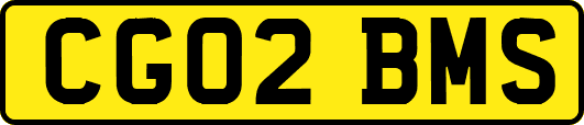CG02BMS