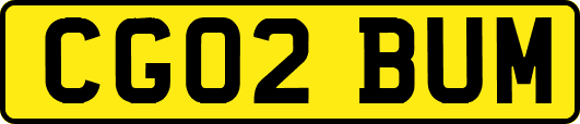 CG02BUM