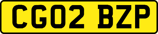 CG02BZP