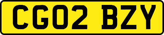 CG02BZY