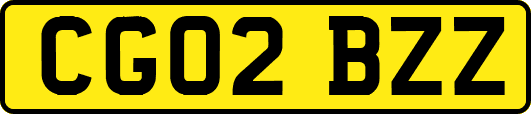 CG02BZZ