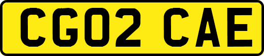 CG02CAE