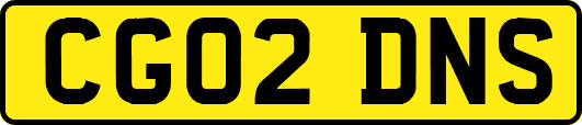 CG02DNS