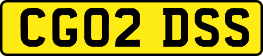 CG02DSS