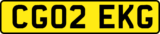 CG02EKG