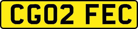 CG02FEC