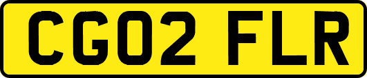 CG02FLR