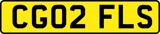 CG02FLS