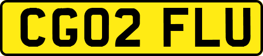 CG02FLU
