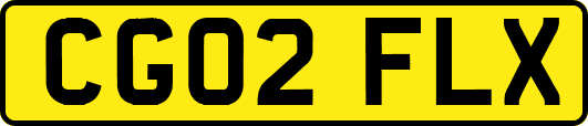 CG02FLX