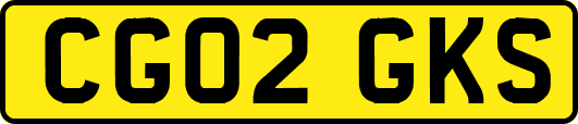 CG02GKS