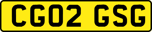CG02GSG