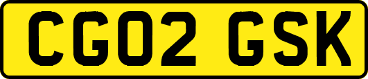 CG02GSK
