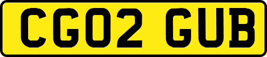 CG02GUB