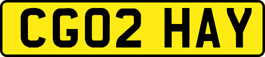 CG02HAY