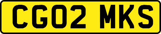 CG02MKS