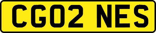 CG02NES