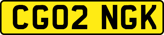 CG02NGK