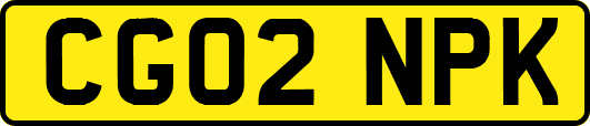 CG02NPK