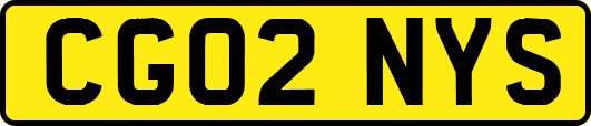 CG02NYS