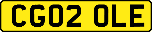 CG02OLE