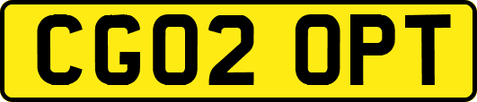 CG02OPT