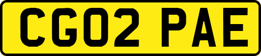 CG02PAE