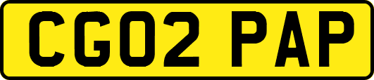 CG02PAP