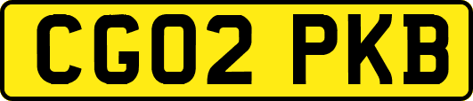 CG02PKB