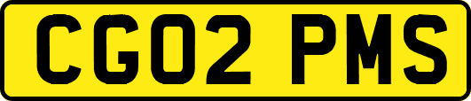 CG02PMS