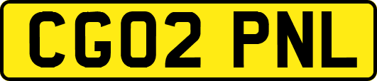 CG02PNL