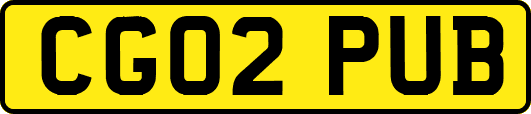 CG02PUB