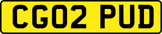 CG02PUD