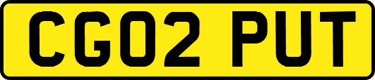 CG02PUT