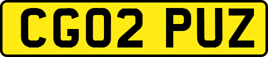 CG02PUZ
